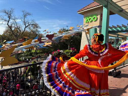 San Antonio Zoo